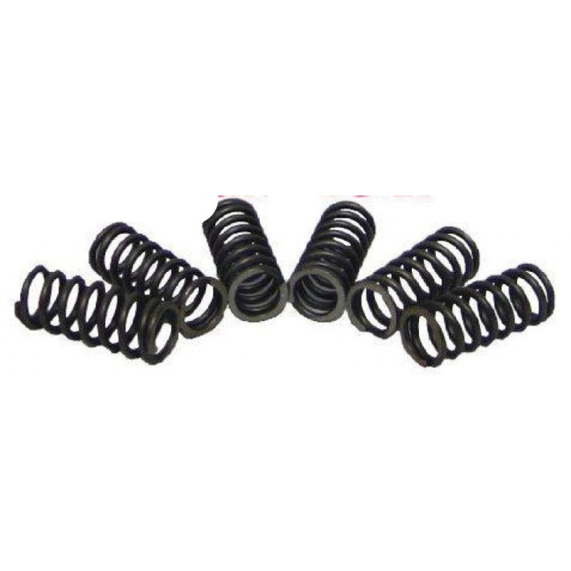 EBC MONTESA 315 CLUTCH SPRING KIT