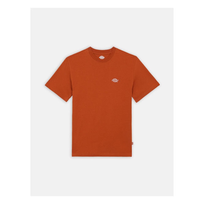 Dickies Summerdale T-Shirt Bombay Brown