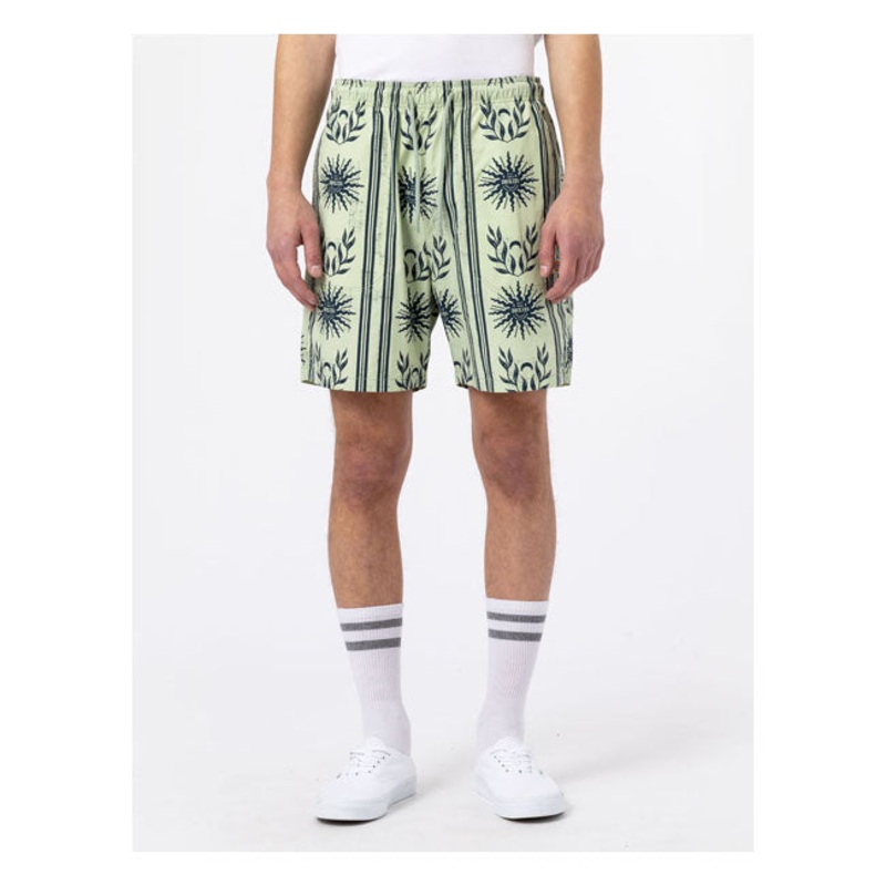 Dickies Kelso Shorts Celadon Green