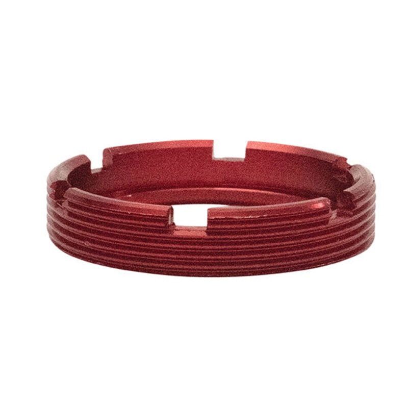 Wheel Bearing Retainer Kit Rear 2002