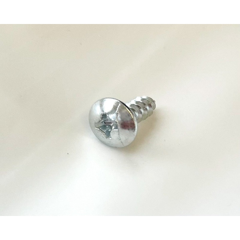 Philip’s Head Screw – 500W Dirt Bike